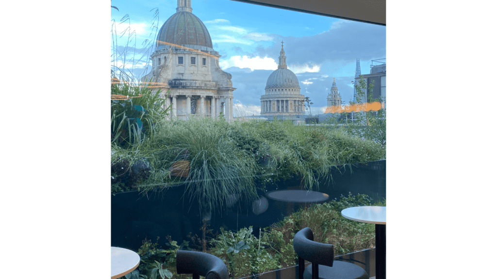 picture of window view